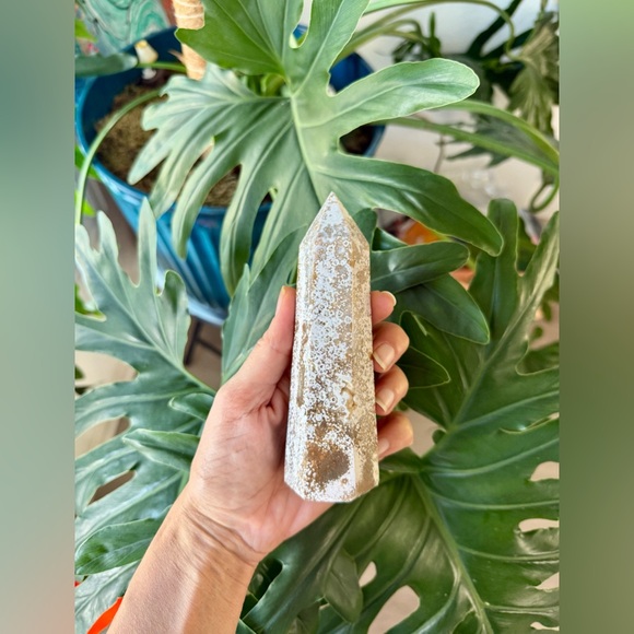 Ocean Jasper Tower - Picture 2 of 7